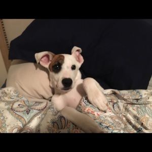 Meet your Posher, Dana