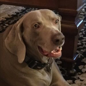 Meet your Posher, Denise