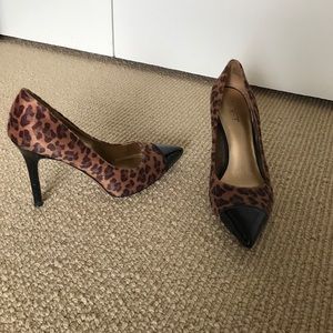 Cheetah Pumps with Black Patent Toe