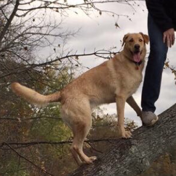 Meet your Posher, Nikki