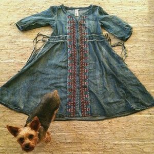 Embroidered jean button down dress