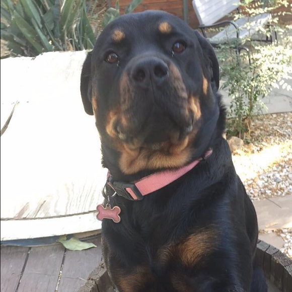 Meet your Posher, Rochelle