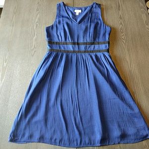 Beautiful cobalt blue LOFT dress