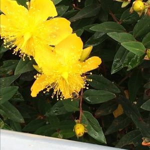 Meet your Posher, Bernice