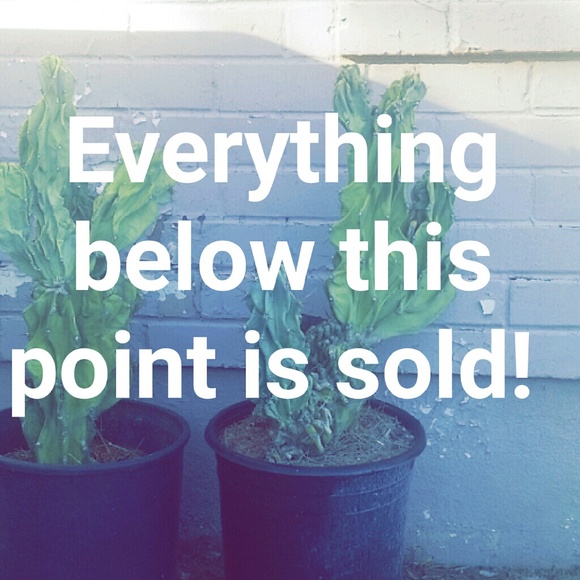 Sold out! - Picture 1 of 1
