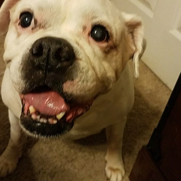 Meet your Posher, Rob - Picture 6 of 8