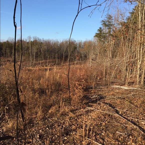 Meet your Posher, Kyle - Picture 1 of 1