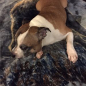 Meet your Posher, Christine