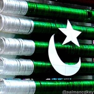 Meet your Posher, Samina