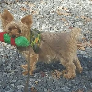 Meet your Posher, Donna