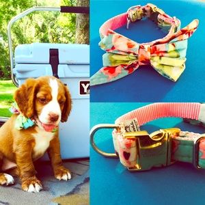 Crewlala Dog Collar
