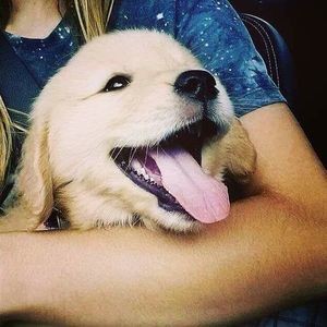 Meet your Posher, Angela