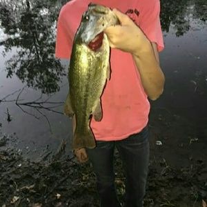 Meet your Posher, Breanna