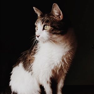 Meet your Posher, Molly