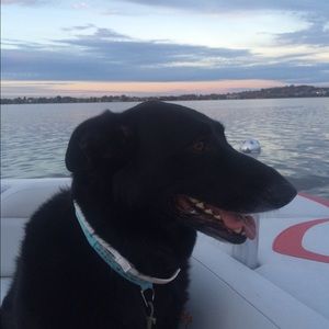 Meet your Posher, Amy