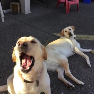 Meet your Posher, Cyndee