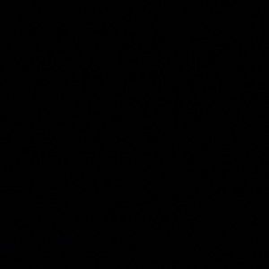 Meet your Posher, Laine