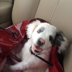 Meet your Posher, Sharon