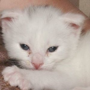 Meet your Posher, Ashleigh