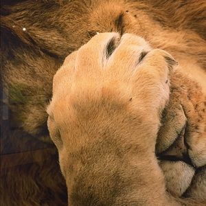 Meet your Posher, Jenn