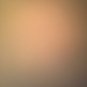 Meet your Posher, Brittani