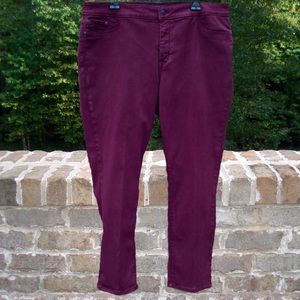 Not Your Daughter's Jeans (NYDJ) - Leggings - 16W
