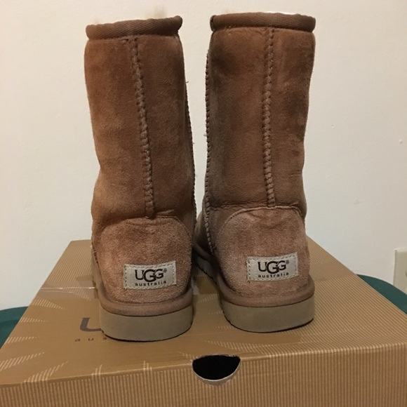 Women's short chestnut uggs