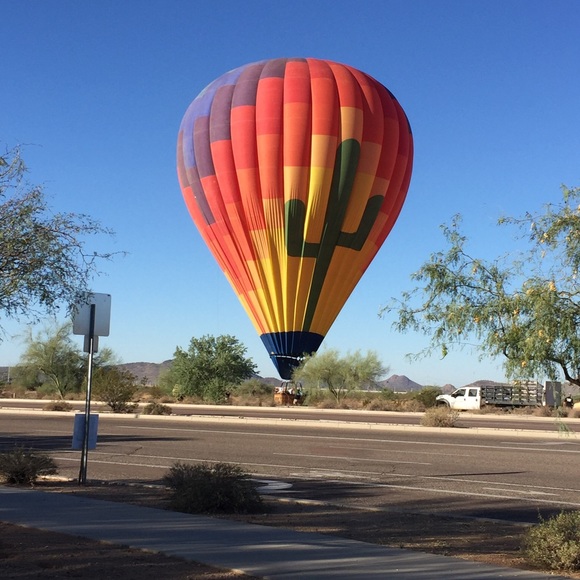 Meet your Posher, Dixie - Picture 1 of 1