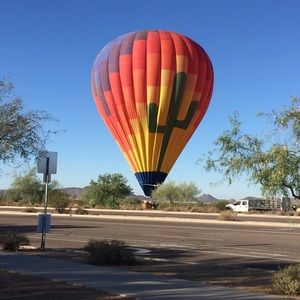 Meet your Posher, Dixie