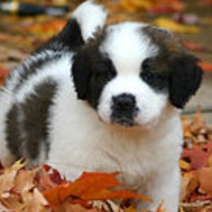 Meet your Posher, Julianna