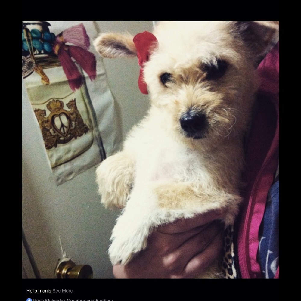 Meet your Posher, Lola