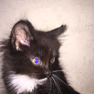 Meet your Posher, Vicky