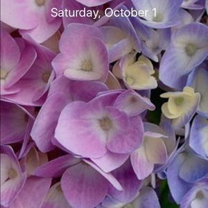 Meet your Posher, Michelle