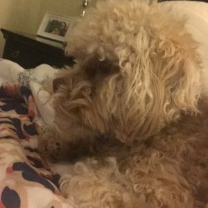 Meet your Posher, Martha