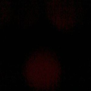 Meet your Posher, Dalton