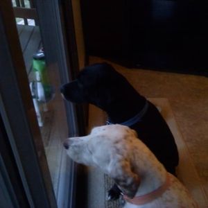 Meet your Posher, Carly