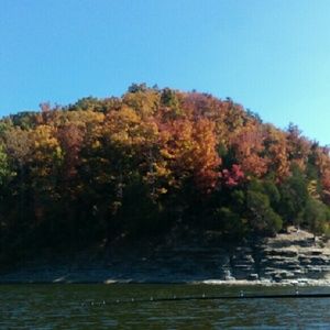 Meet your Posher, Elisha