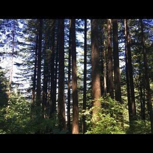 Meet your Posher, Alesha