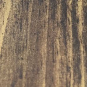 Meet your Posher, Katelynn