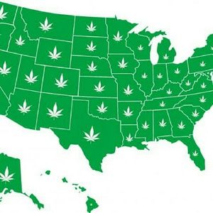 Meet your Posher, Larry