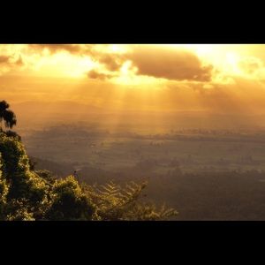 Meet your Posher, Iris