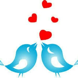 Meet your Posher, Pavani