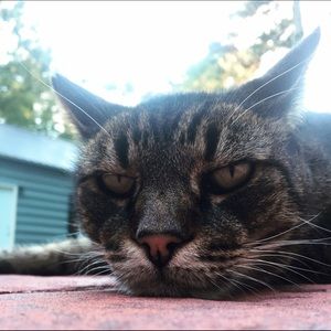 Meet your Posher, Julia