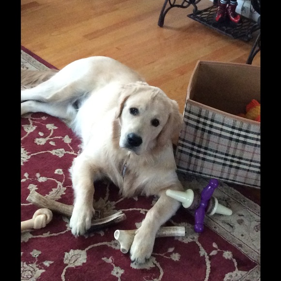 Meet your Posher, Toni