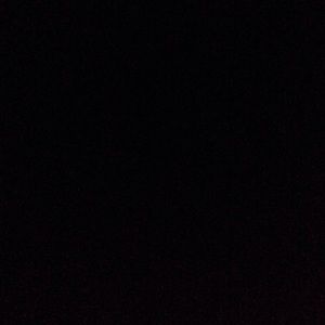 Meet your Posher, Ellie