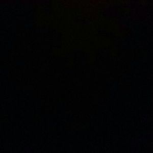 Meet your Posher, Daisy