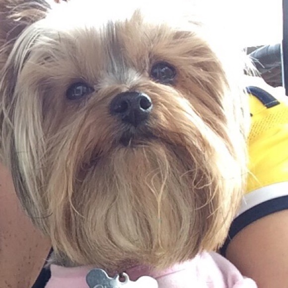 Meet your Posher, Paola - Picture 1 of 1