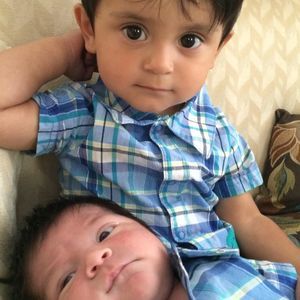 Meet your Posher, Theodore