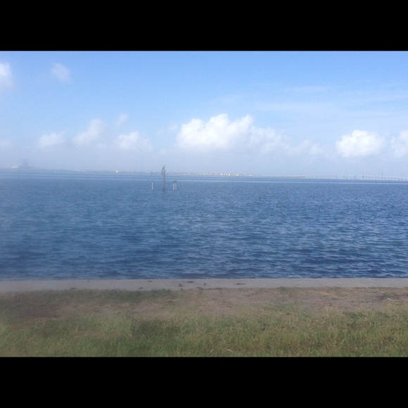 Meet your Posher, Ruby - Picture 1 of 1