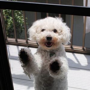 Meet your Posher, Mayu